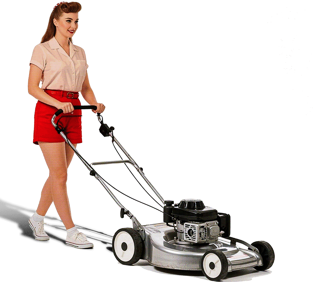 Lawn Mower