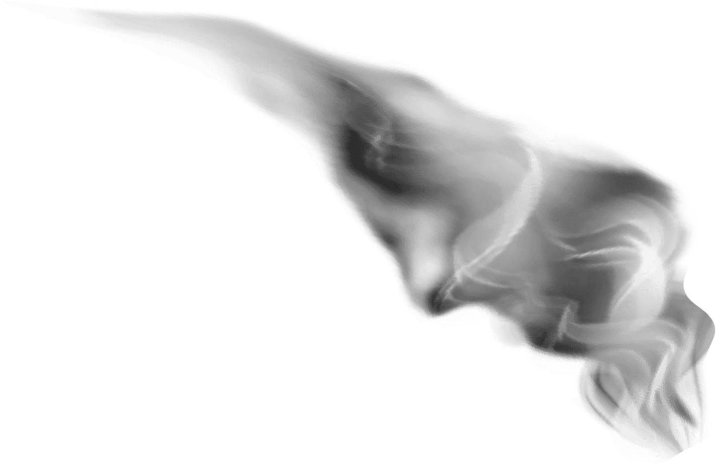 Steam