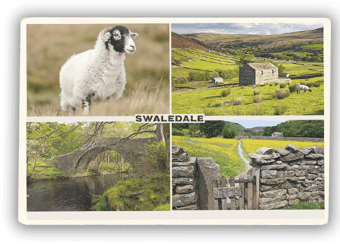 Postcard 3 Front