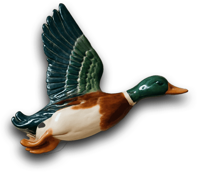Duck 1