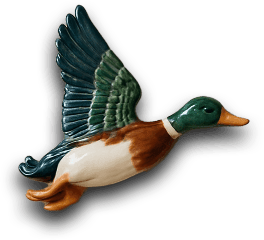 Duck 2