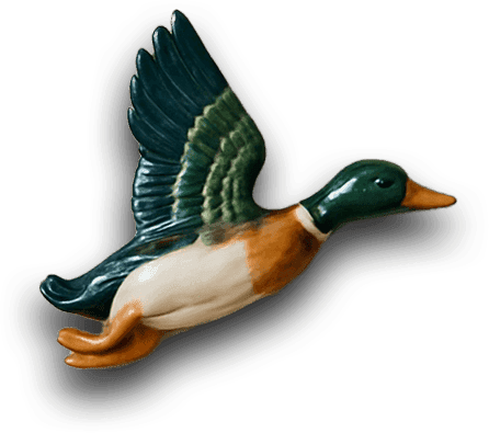 Duck 3