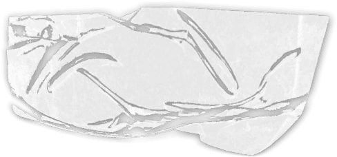 Tape